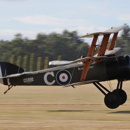 ANZAC 2010 John Freedman TVAL 1478