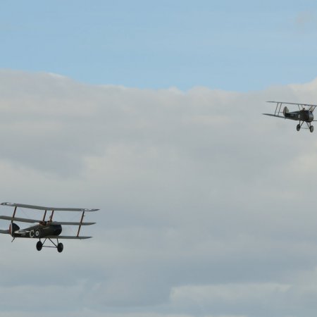 ANZAC 2010 John Freedman TVAL 1483