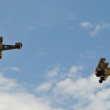 ANZAC 2010 John Freedman TVAL 1509