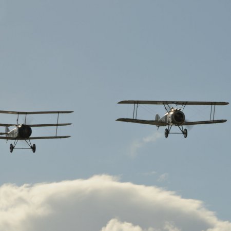 ANZAC 2010 John Freedman TVAL 1518