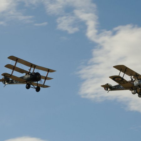 ANZAC 2010 John Freedman TVAL 1526