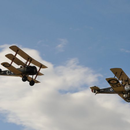 ANZAC 2010 John Freedman TVAL 1528