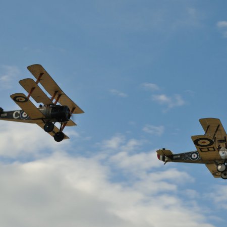 ANZAC 2010 John Freedman TVAL 1529