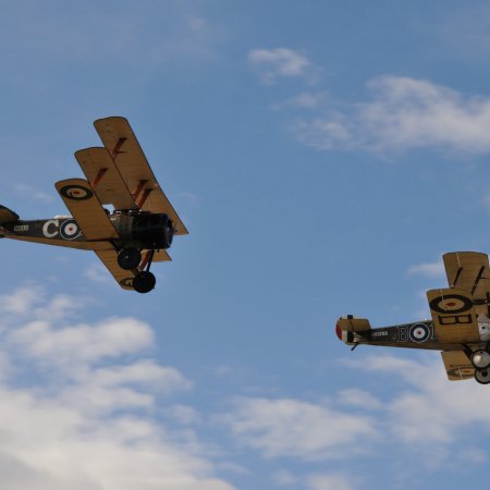 ANZAC 2010 John Freedman TVAL 1530