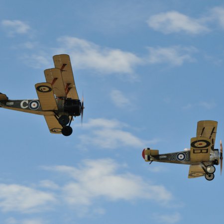 ANZAC 2010 John Freedman TVAL 1531