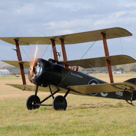 ANZAC 2010 John Freedman TVAL 1571