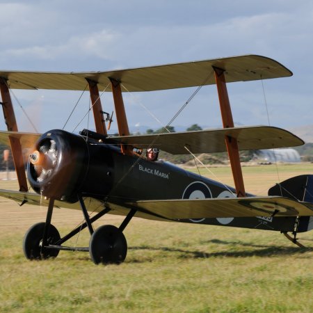 ANZAC 2010 John Freedman TVAL 1573