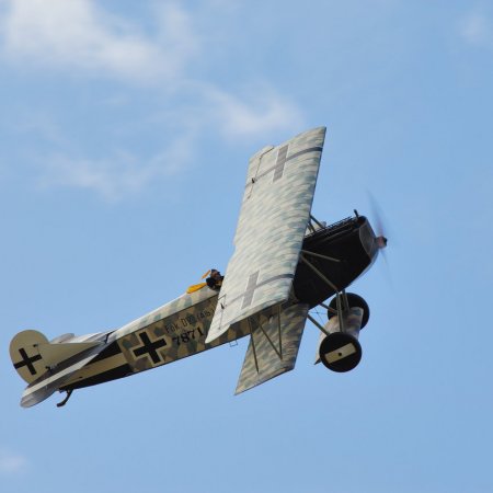 ANZAC 2010 John Freedman TVAL 1596