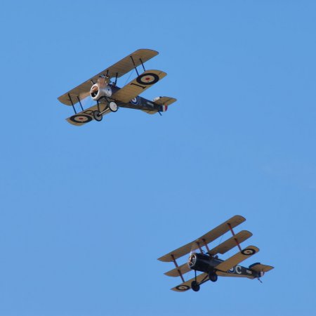 ANZAC 2010 John Freedman TVAL 1626