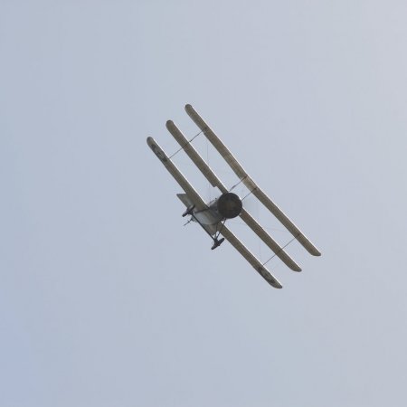 ANZAC 2010 John Freedman TVAL 1632