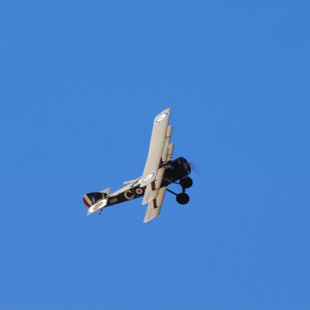 ANZAC 2010 John Freedman TVAL 1636