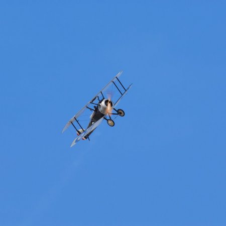 ANZAC 2010 John Freedman TVAL 1649