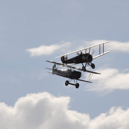 ANZAC 2010 John Freedman TVAL 1666