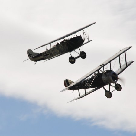 ANZAC 2010 John Freedman TVAL 1675