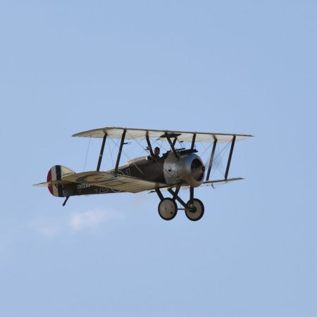 ANZAC 2010 John Freedman TVAL 1676