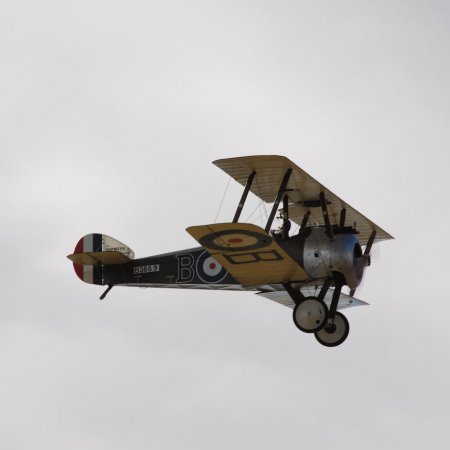 ANZAC 2010 John Freedman TVAL 1677