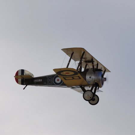 ANZAC 2010 John Freedman TVAL 1678