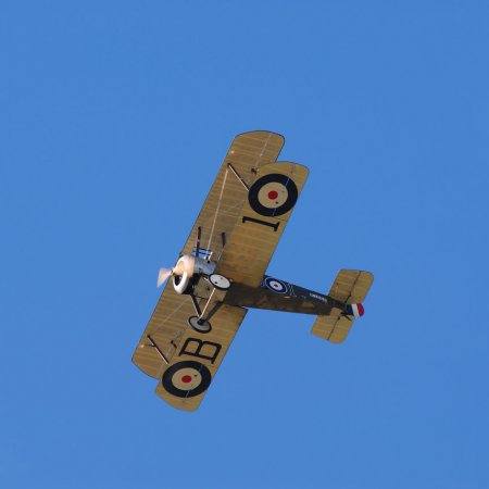 ANZAC 2010 John Freedman TVAL 1679