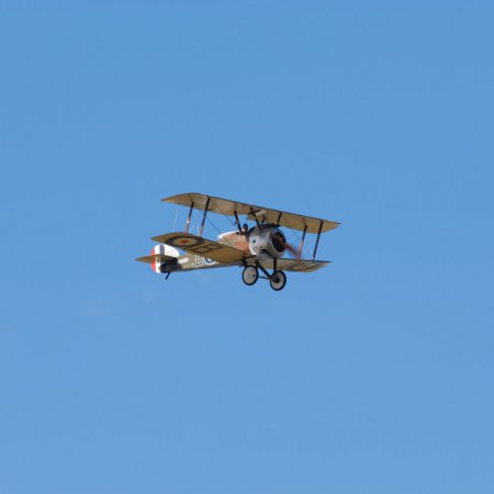 ANZAC 2010 John Freedman TVAL 1685