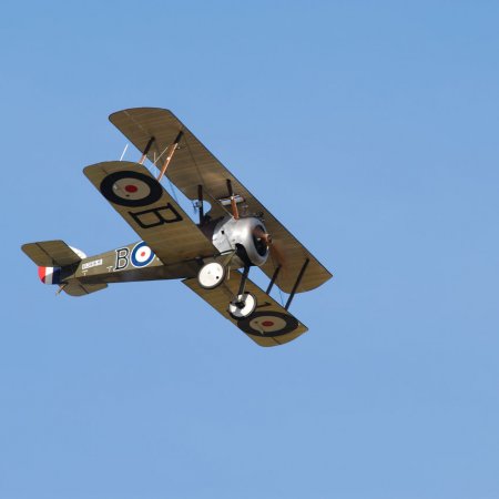 ANZAC 2010 John Freedman TVAL 1689