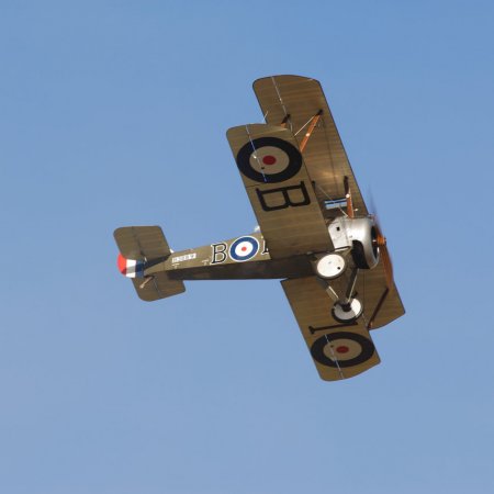 ANZAC 2010 John Freedman TVAL 1690