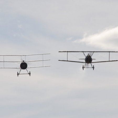 ANZAC 2010 John Freedman TVAL 1714