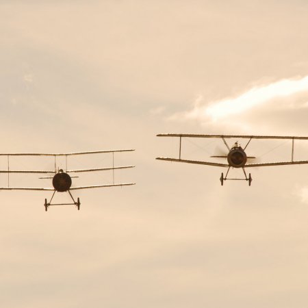 ANZAC 2010 John Freedman TVAL 1715