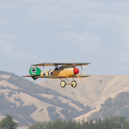 ANZAC 2010 John Freedman TVAL 1731