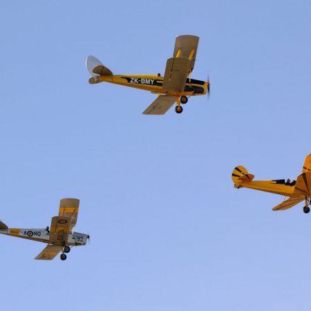 ANZAC 2010 John Freedman TVAL 1837