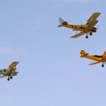 ANZAC 2010 John Freedman TVAL 1838