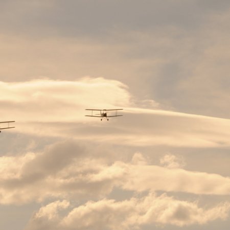 ANZAC 2010 John Freedman TVAL 1841
