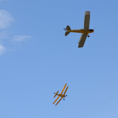 ANZAC 2010 John Freedman TVAL 1845