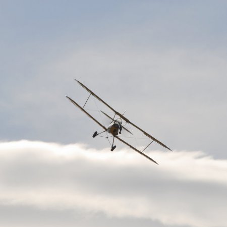 ANZAC 2010 John Freedman TVAL 1989