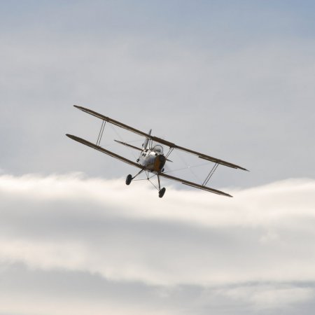 ANZAC 2010 John Freedman TVAL 1990