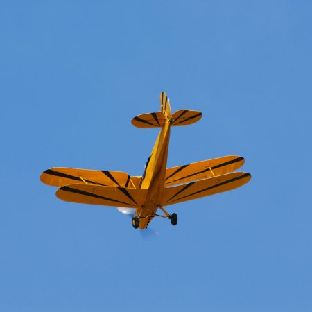 ANZAC 2010 John Freedman TVAL 1996