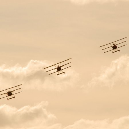 ANZAC 2010 John Freedman TVAL 2010