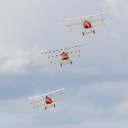 ANZAC 2010 John Freedman TVAL 2024