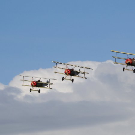 ANZAC 2010 John Freedman TVAL 2053