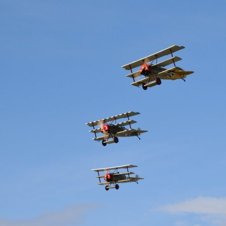 ANZAC 2010 John Freedman TVAL 2064