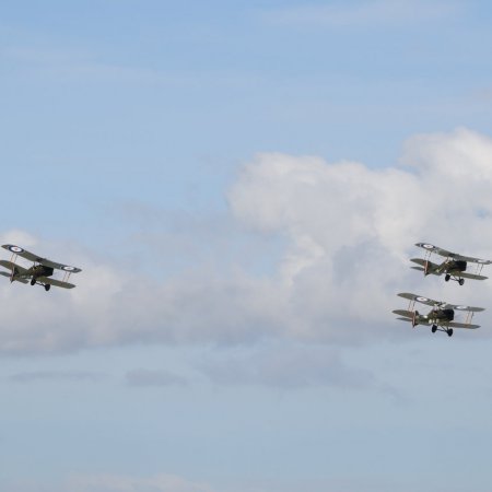 ANZAC 2010 John Freedman TVAL 2109