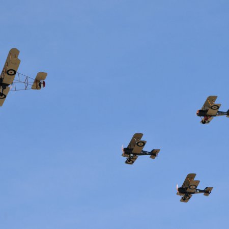 ANZAC 2010 John Freedman TVAL 2130