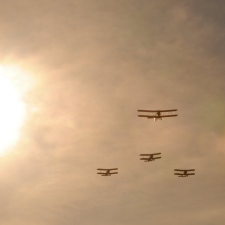 ANZAC 2010 John Freedman TVAL 2137