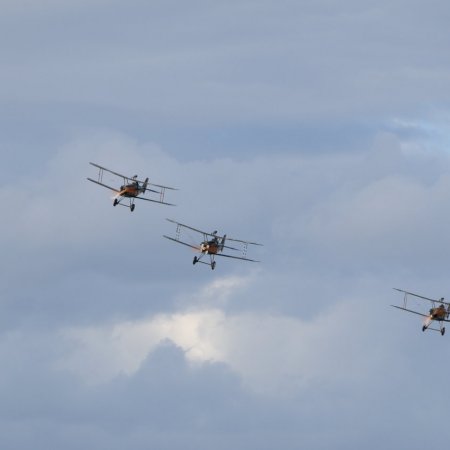 ANZAC 2010 John Freedman TVAL 2183