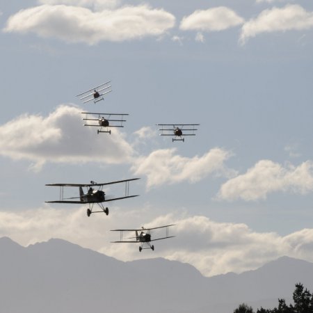 ANZAC 2010 John Freedman TVAL 2196