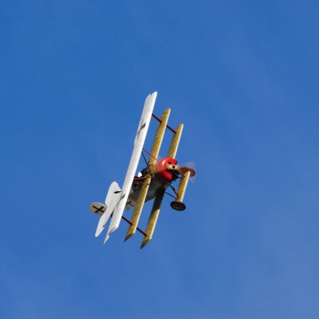 ANZAC 2010 John Freedman TVAL 2223