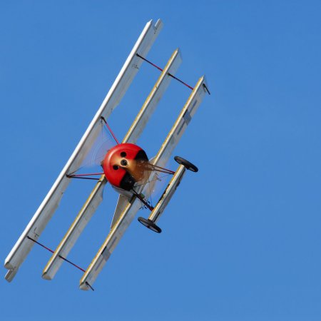 ANZAC 2010 John Freedman TVAL 2247