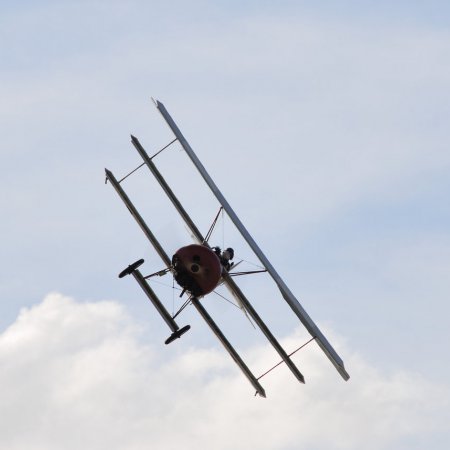 ANZAC 2010 John Freedman TVAL 2257