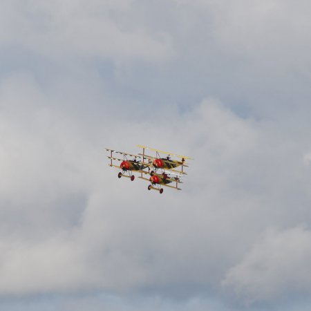 ANZAC 2010 John Freedman TVAL 2266