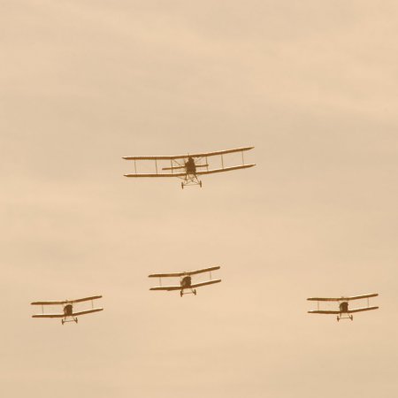 ANZAC 2010 John Freedman TVAL 2333