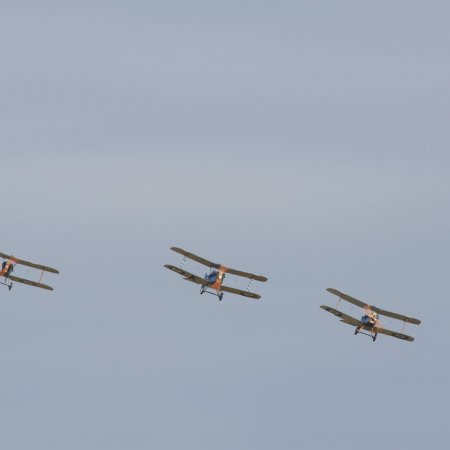 ANZAC 2010 John Freedman TVAL 2386